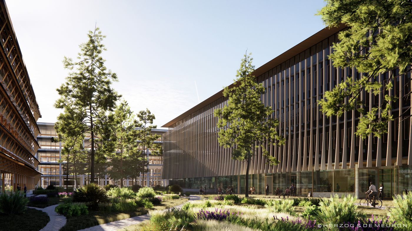 SCALE courtyard with landscaped gardens